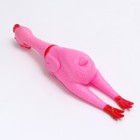 Игрушка пищащая "Задумчивая курица XL" для собак, 41 см, розовая - Фото 3