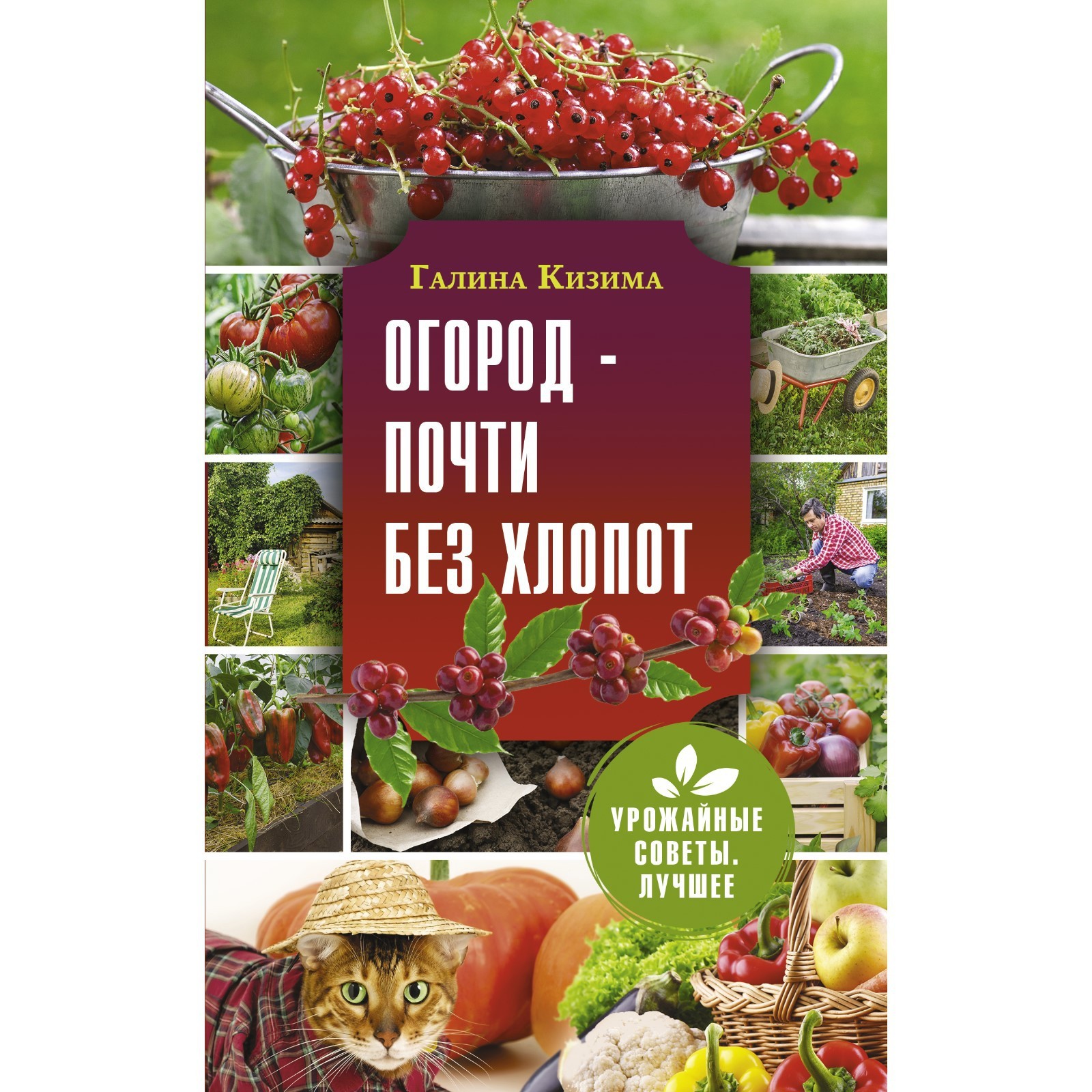 Галина Кизима Книги Купить