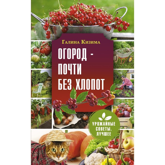 Огород - почти без хлопот. Кизима Г.А. - Фото 1