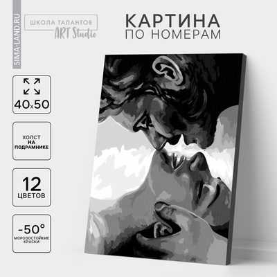 Картина по номерам для взрослых на холсте с подрамником «Поцелуй», 40×50 см