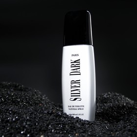

Туалетная вода мужская Dark Silver, 100 мл