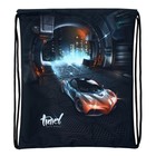 Мешок для обуви 430 х 340 мм, Stavia (плотность 600D с водоотталкивающей ПУ-пропиткой) Travel - фото 45698914