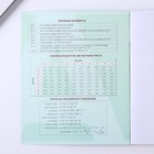 Тетрадь в клетку, предметная, 48 л., на скрепке, А5 «ВЕЛИКИЕ ЛИЧНОСТИ. Алгебра» - Фото 6