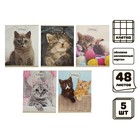 Комплект тетрадей из 5 штук, 48 листов в клетку Calligrata "Милые котята", обложка мелованный картон, блок №2, белизна 75% (серые листы) - фото 2841511