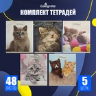 Тетради 48 листов в клетку, Calligrata «Милые котята», серые листы, 5 штук - Фото 1