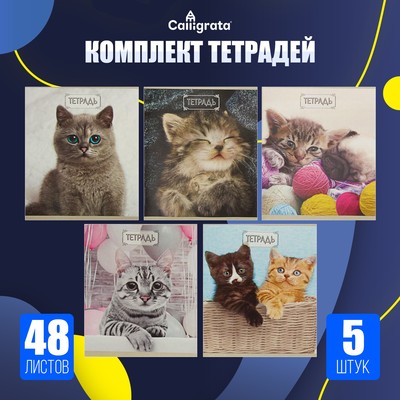 Тетради 48 листов в клетку, Calligrata «Милые котята», серые листы, 5 штук