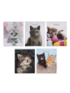 Набор тетрадей, 48 листов в клетку, Calligrata «Милые котята», серые листы, 5 штук - фото 51969003