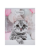 Набор тетрадей, 48 листов в клетку, Calligrata «Милые котята», серые листы, 5 штук - фото 51969004