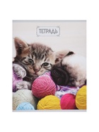 Набор тетрадей, 48 листов в клетку, Calligrata «Милые котята», серые листы, 5 штук - фото 51969006