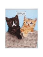 Набор тетрадей, 48 листов в клетку, Calligrata «Милые котята», серые листы, 5 штук - фото 51969008