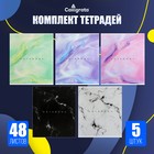 Набор тетрадей 48 листов в клетку Calligrata «Мрамор», обложка мелованный картон, серые листы, 5 шт. - Фото 1