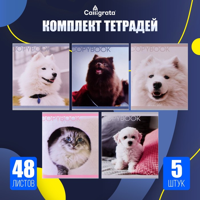 

Комплект тетрадей из 5 штук, 48 листов в клетку Calligrata "Любимые питомцы", обложка мелованная бумага, блок №2, белизна 75% (серые листы)