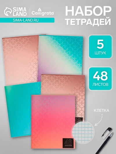 Комплект тетрадей из 5 штук (4 разные + 1 повторяющаяся), 48 листов в клетку Calligrata «Мыльные пузыри», обложка мелованная бумага, блок №2, белизна 75% (серые листы)