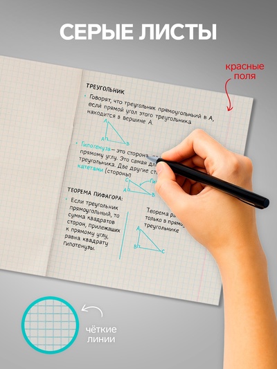Комплект тетрадей из 5 штук (4 разные + 1 повторяющаяся), 48 листов в клетку Calligrata «Мыльные пузыри», обложка мелованная бумага, блок №2, белизна 7...