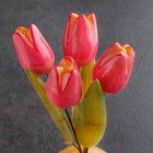 Сувенир "Тюльпаны в вазе", 5 цветков, малая,розовая,селенит - Фото 4