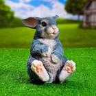 Садовая фигура "Зайка толстый" 19х14х15см - Фото 5