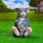 Садовая фигура "Зайка толстый" 19х14х15см - Фото 6