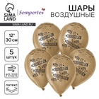 Воздушные шары латексные 12" «С Новосельем», 5 шт., ХРОМ - Фото 1