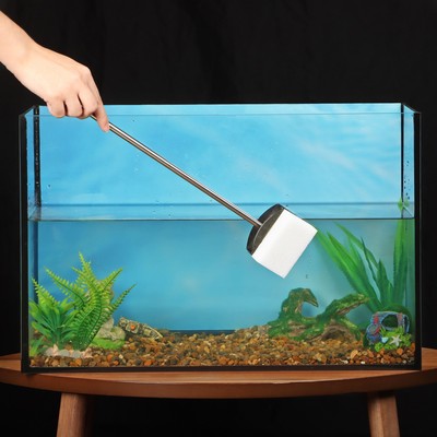 Скребок «Пижон», длина 50 см, щётка 6×8 см, с нержавеющей ручкой