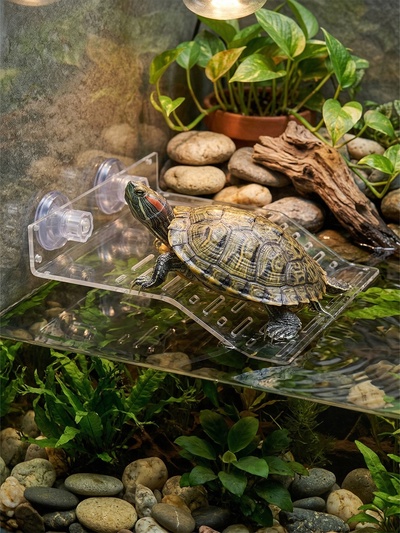 Мостик для черепах большой, 21.5×17.5×4 см, на присосках