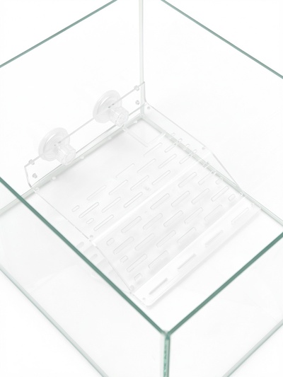 Мостик для черепах большой, 21.5×17.5×4 см, на присосках