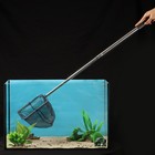 Сачок аквариумный, 20×20 см, телескопический, длина до 100 см - Фото 2