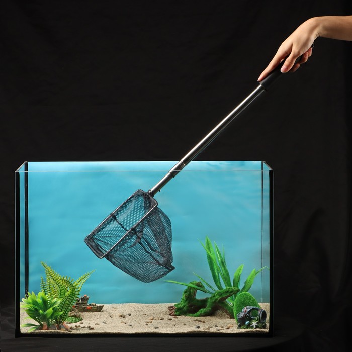 Сачок аквариумный, 20×20 см, телескопический, длина до 100 см - Фото 1