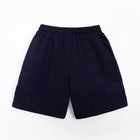 Плавки купальные мужские однотонные, MINAKU цвет синий, размер 54 - фото 27335546