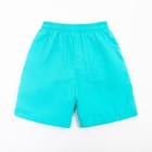 Плавки купальные мужские однотонные, MINAKU цвет мятный, размер 56 - Фото 8