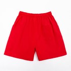 Плавки купальные мужские однотонные, MINAKU цвет красный, размер 50 7425701