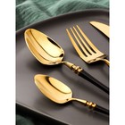 Набор столовых приборов из нержавеющей стали Magistro «Колоннада», 4 предмета, цвет металла золотой, ручки чёрные - фото 24239082