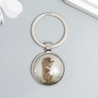 Брелок стекло "Ёжик в тумане" 5,7х2,7 см (комплект 2 шт) - фото 35368923