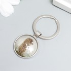 Брелок стекло "Ёжик в тумане" 5,7х2,7 см (комплект 2 шт) - фото 35368924