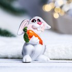 Фигура "Заяц с морковкой" МИКС, 5х4х5см - Фото 13