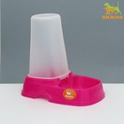 Автопоилка/автокормушка с мерным делением, 1,3 л, фуксия - Фото 1