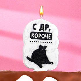 Свеча для торта "С др, короче", кот, 6,5 см, белая 7761390