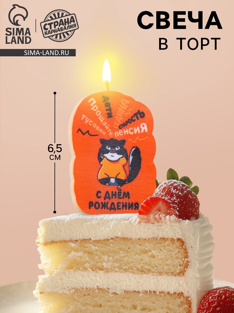Свеча для торта "С днем рождения", кот, 6,5 см, коричневая (7761393 ...