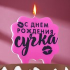 Свеча для торта "С днем рождения, сучка", 8 см, розовая - фото 318840685