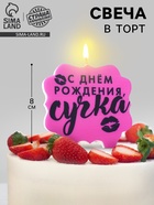 Свеча для торта «С днем рождения, сучка», 8 см, розовая - Фото 1