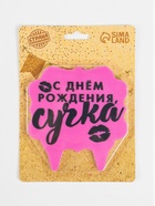 Свеча для торта «С днем рождения, сучка», 8 см, розовая - Фото 4