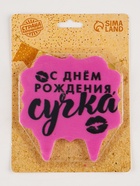 Свеча для торта «С днем рождения, сучка», 8 см, розовая - Фото 5