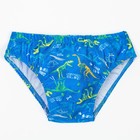 Плавки купальные для мальчика, цвет синий/динозавры, рост 98 см - фото 9675060