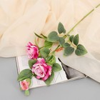 Цветы искусственные "Роза Вестерленд" d-6 см 60 см ярко-розовый - фото 321329831