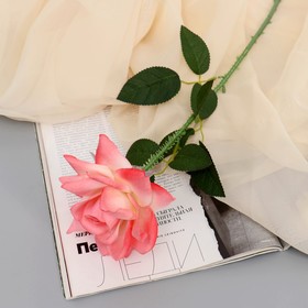 Цветы искусственные "Роза Пьер де Ронсар" d-11 см 60 см ярко-розовый
