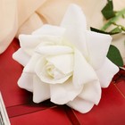 Цветы искусственные «Роза Пьер де Ронсар», h=60 см, d=11 см, белые - фото 63062063