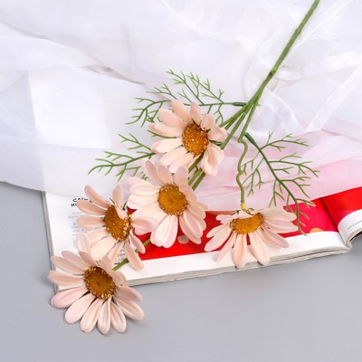 Цветы искусственные «Арктотис», h=35 см, d=3.5 см, розовые