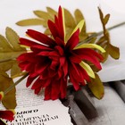 Цветы искусственные "Георгин Кактусовый" d-3,5 см 40 см бордовый - Фото 2