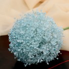 Цветы искусственные «Краспедия шаровидная», h=70 см, d=10 см, голубые 7441989 - фото 16217080