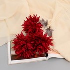Цветы искусственные "Георгин полукактусовый" d-6 см 65 см бордовый - фото 9675317