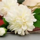 Цветы искусственный "Георгин пионовидный" d-5 см 69 см белый - фото 68100447